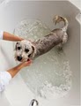 Mickey's Pet Grooming Bath & Boutique - Pet Supplies, Pet Food image 5