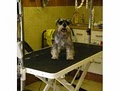Mickey's Pet Grooming Bath & Boutique - Pet Supplies, Pet Food image 1