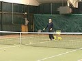 Midtown Tennis Club image 1