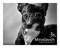 Miroslavich Photography image 4