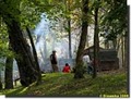 Mohican Reservation Campground & Canoeing image 2