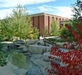Montana State University Billings image 4