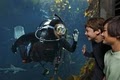 Monterey Bay Aquarium image 8