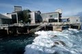 Monterey Bay Aquarium image 9