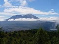 Mount Saint Helens National Volcanic Monument image 4