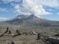 Mount Saint Helens National Volcanic Monument image 6
