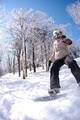 Mount Sunapee Resort image 5
