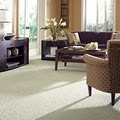Mr. Carpet Shop at Home image 3