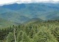Mt Mitchell State Park image 1