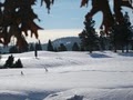 Mt Shasta Resort image 7