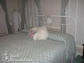 Murphy House Bed and Breakfast image 2