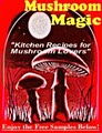 MushroomVisions image 2