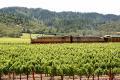 Napa Valley Wine Train image 6