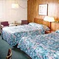 National 9 Inn - Showboat Motel image 10
