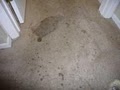 National Carpet Cleaning & National Dye Systems, LLC image 4