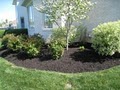 Natures Creations Lawn & Landscaping image 3