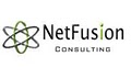 NetFusion Consulting logo