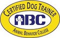 New Beginnings the Positive Way Dog Training logo