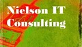 Nielson IT Consulting logo