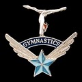 North American Gymnastics image 2