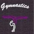 North American Gymnastics logo