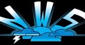 Northwest Snowboards: Store logo