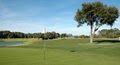 Old South Golf Links image 3