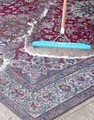 Orlando - Carpet Cleaning image 3