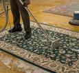 Orlando - Carpet Cleaning image 5