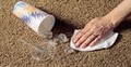 Orlando Stain Lifters - Carpet Cleaning Service image 7