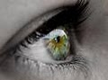 Overholser Eyecare - Ocala Optometry image 2