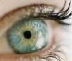 Overholser Eyecare - Ocala Optometry image 5