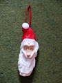 Oyster Shell Santas image 4