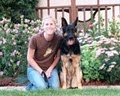 PRO K-9 In-Home Dog Training and Behavior Modification image 3