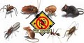 PROZ Pest Control - Dallas image 2