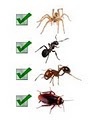 PROZ Pest Control - Dallas image 4