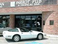 Parrot Pub image 1