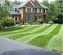 Patton landscaping and lawn services image 9