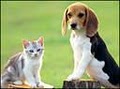 Pawsitive Petcare image 1