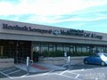 Paymon's Mediterranean Cafe & Hookah Lounge image 8