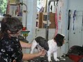 Pet Parlor image 2