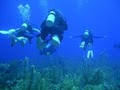 Phoenix Scuba, Inc image 3