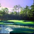 Pine Needles Golf Course image 2
