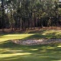 Pine Needles Golf Course image 5