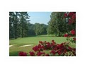 Pine Tree Country Club image 3