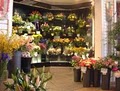 Plaza Flowers image 8