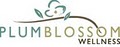Plum Blossom Wellness Center Llc logo