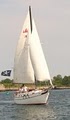 Point Norton Sailing Academy image 3