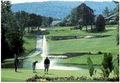 Pointe Royale Golf Condos image 5