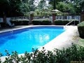 Pool Specialists image 3